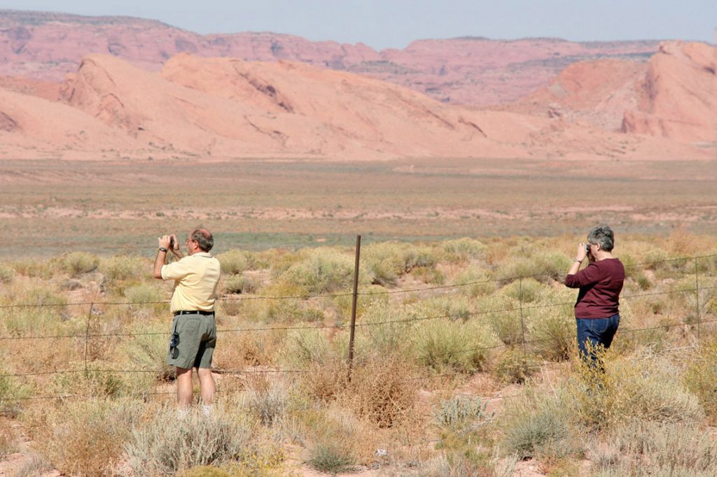 zwei Menschen stehen hinter einem weidezaun und fotografieren die Berge